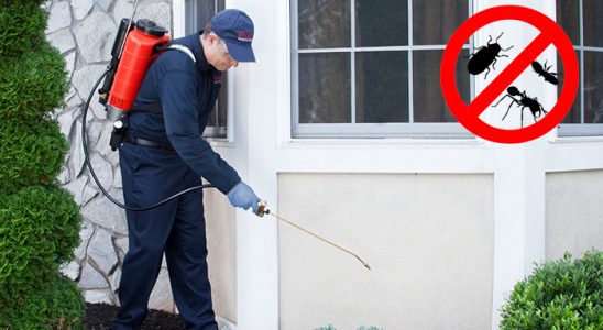 Çal Hamam Böceği İlaçlama böcek ilaçlama ve haşere kontrolü — ilaclama-tr.com